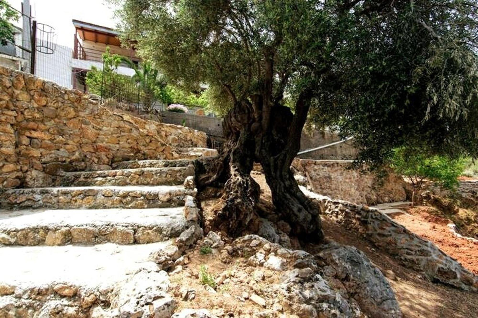 Aoria Traditional House Loulos Esterno foto